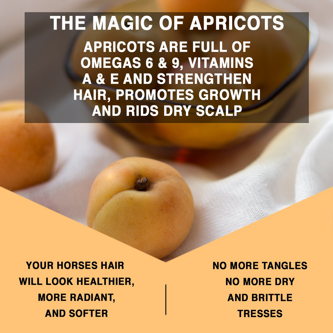 Apricot Oil Detangling Treatment - 4 oz. Travel Size – KNOTTY