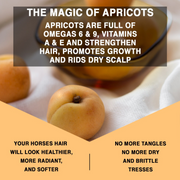 Apricot Oil Detangling Treatment - 4 oz. Travel Size